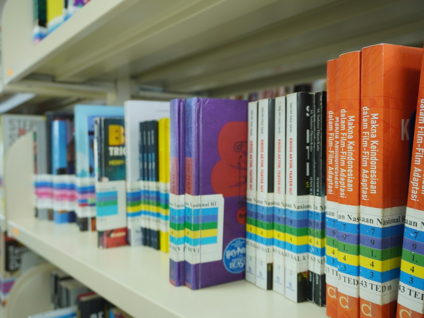 Top Strategies to Stay Motivated While Learning a Language